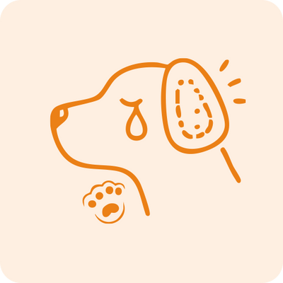Eye & Ear Care for Dogs and Cats