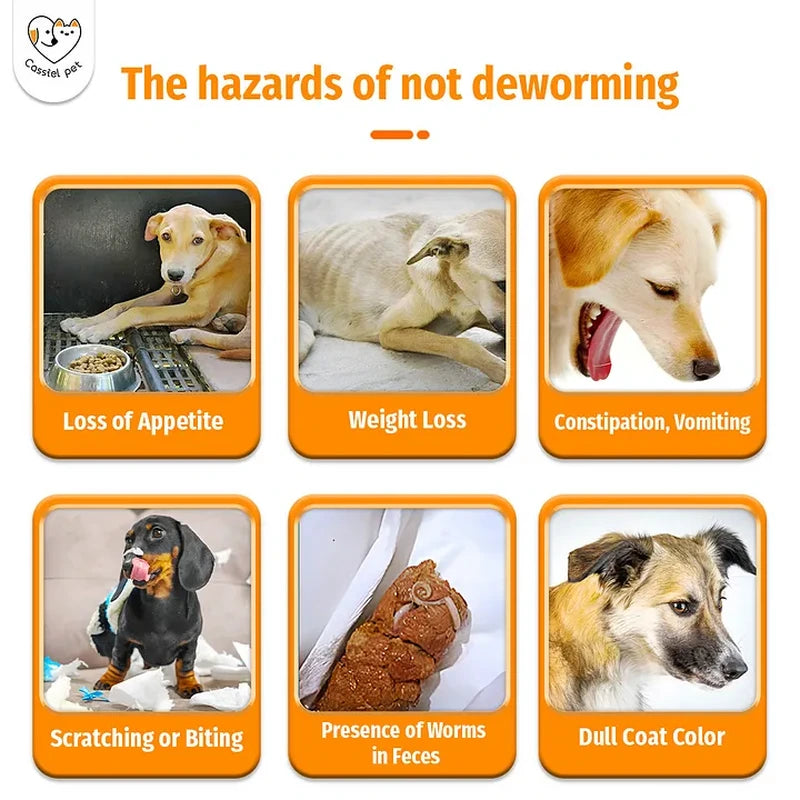 Dog parasite warning signs including appetite loss, weight loss, vomiting, scratching, worms in stool and dull coat