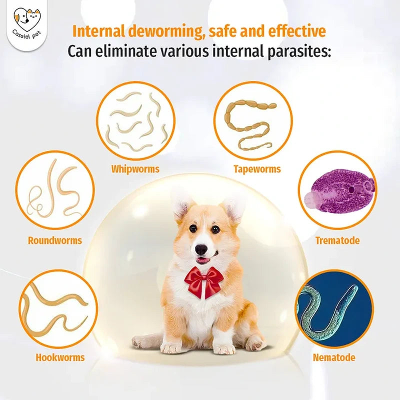Dog parasite guide showing roundworms, whipworms, tapeworms, hookworms, trematodes and nematodes