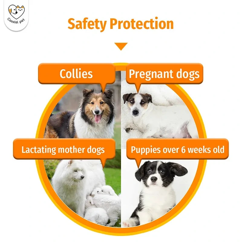 Cassiel Pet Dualmectin suitability guide for collies, pregnant or lactating dogs and puppies over six weeks