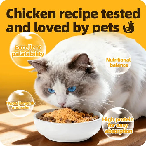 Cassiel Pet cat eating chicken-recipe nutritional powder