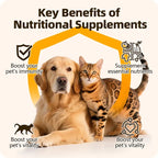 Cassiel Pet immunity nutrition and vitality benefits for dogs and cats