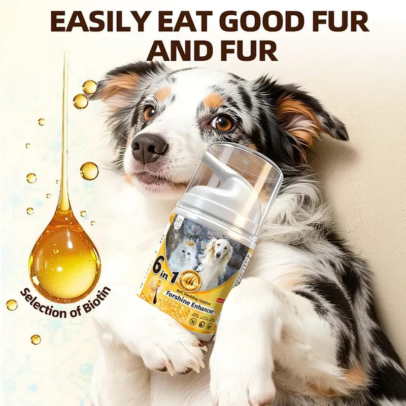Cassiel Pet dog with liquid skin and coat supplement