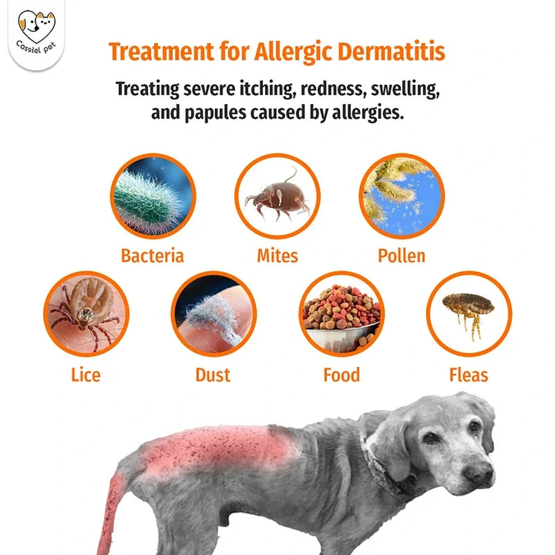 Cassiel Pet allergic dermatitis triggers including bacteria mites pollen lice dust food and fleas
