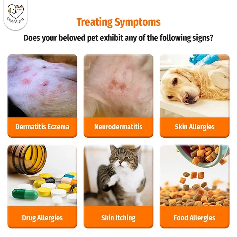 Cassiel Pet eczema neurodermatitis skin allergy drug allergy itching and food allergy symptoms