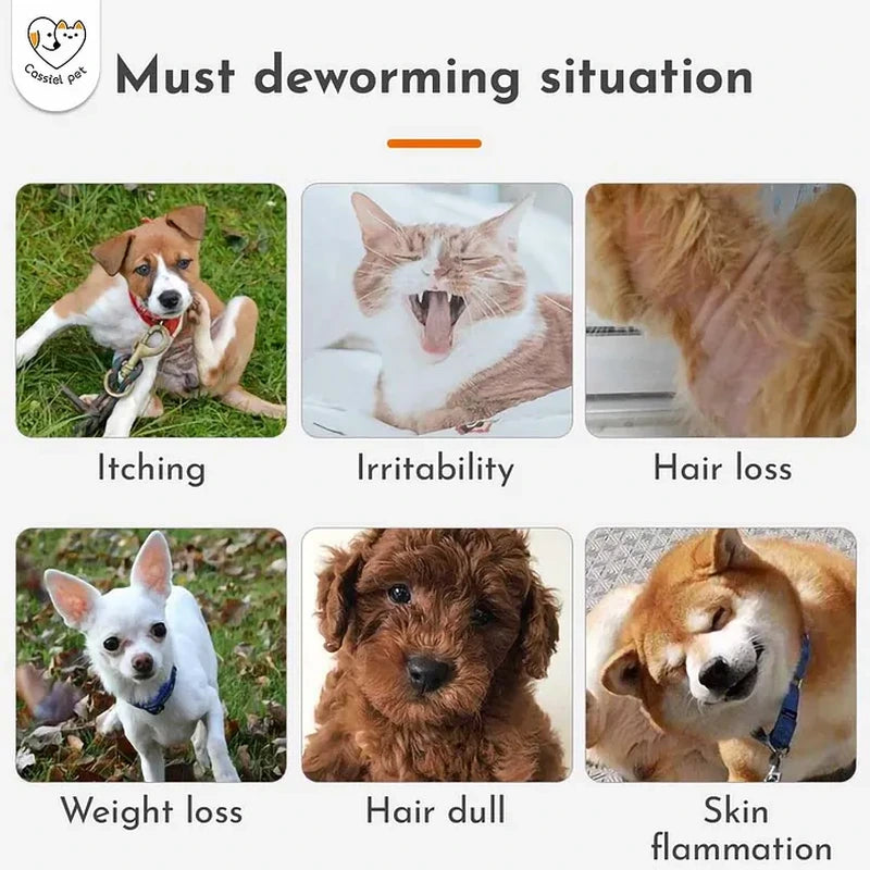 Cassiel Pet itching irritability hair loss weight loss dull coat and skin inflammation signs