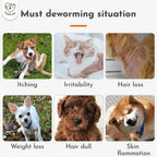 Cassiel Pet itching irritability hair loss weight loss dull coat and skin inflammation signs
