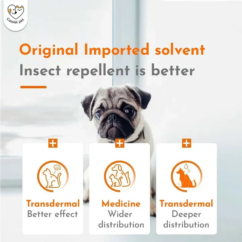 Cassiel Pet transdermal external parasite treatment illustration