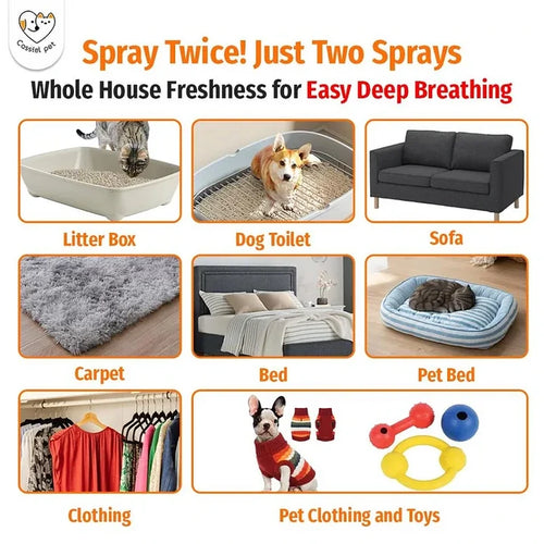 Cassiel Pet home odor-control uses for litter box sofa carpet bedding clothing and toys