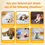 Cassiel Pet dog signs including joint discomfort digestion hair loss appetite immunity and growth