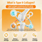 Cassiel Pet type II collagen cartilage and joint support diagram