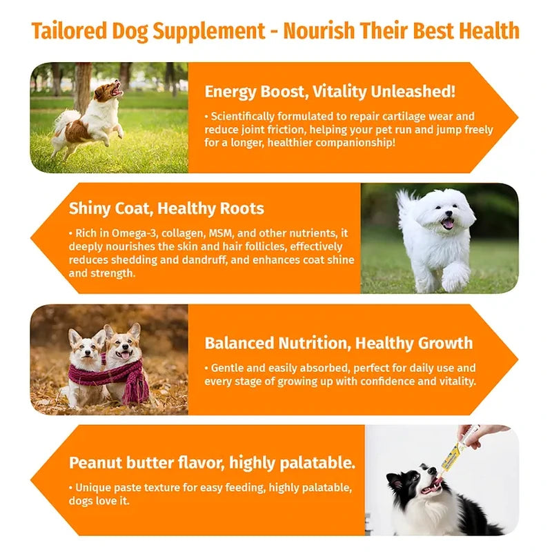 Cassiel Pet dog energy coat joint growth and peanut-butter flavor benefits