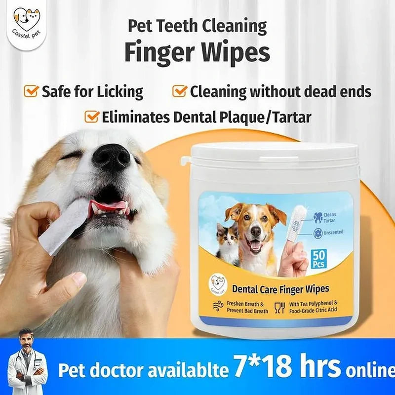Cassiel Pet dog dental cleaning with finger wipe and online pet support