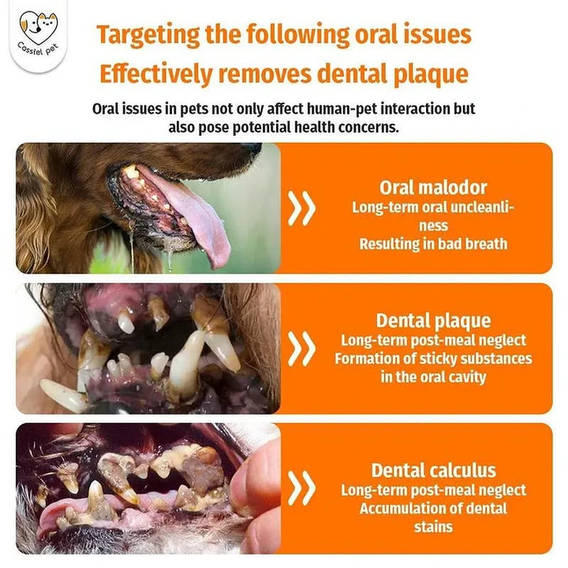Cassiel Pet oral malodor plaque and calculus warning signs
