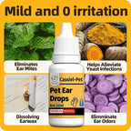 Cassiel Pet mint turmeric and botanical ear-care ingredients