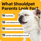 Cassiel Pet ear scratching crust buildup odor and discharge warning signs