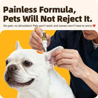 Cassiel Pet painless ear drop application for a dog