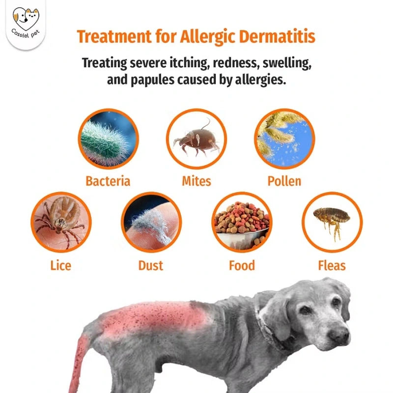 Cassiel Pet allergic dermatitis triggers including bacteria mites pollen lice dust food and fleas