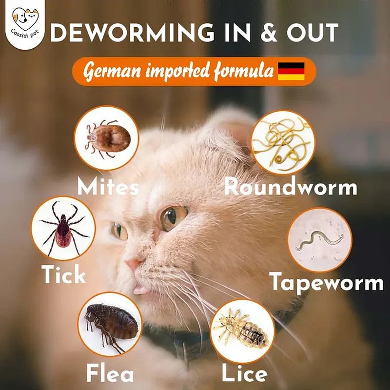 Cassiel Pet mites roundworm tapeworm fleas ticks and lice parasite guide