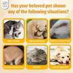 Cassiel Pet dog and cat parasite warning signs