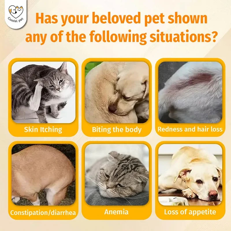 Cassiel Pet dog and cat parasite warning signs