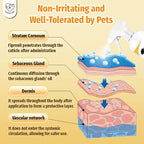 Cassiel Pet fipronil skin absorption and distribution diagram
