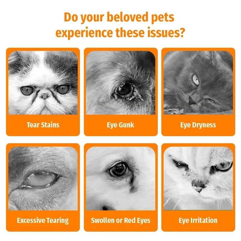 Cassiel Pet tear stains eye gunk dryness swelling and irritation signs