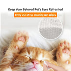 Cassiel Pet cat eye cleaning with lint-free wipe