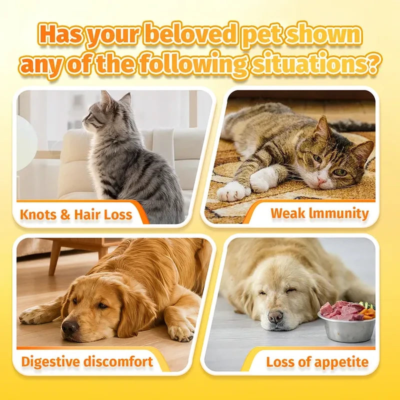 Cassiel Pet pet signs including knots hair loss weak immunity poor digestion and appetite loss