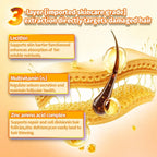 Cassiel Pet lecithin multivitamin and zinc skin barrier diagram