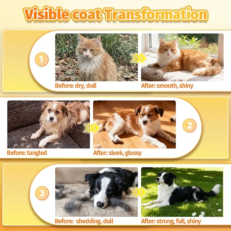 Cassiel Pet before-and-after coat transformation examples