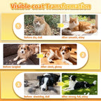 Cassiel Pet before-and-after coat transformation examples