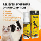 Cassiel Pet skin allergy dermatitis hot spot scaling and itching symptom guide