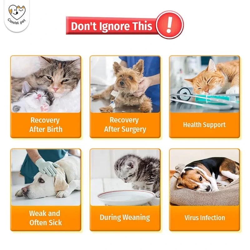 Cassiel Pet recovery after birth surgery illness weaning and virus exposure