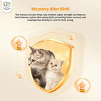 Cassiel Pet cat recovery after birth illustration