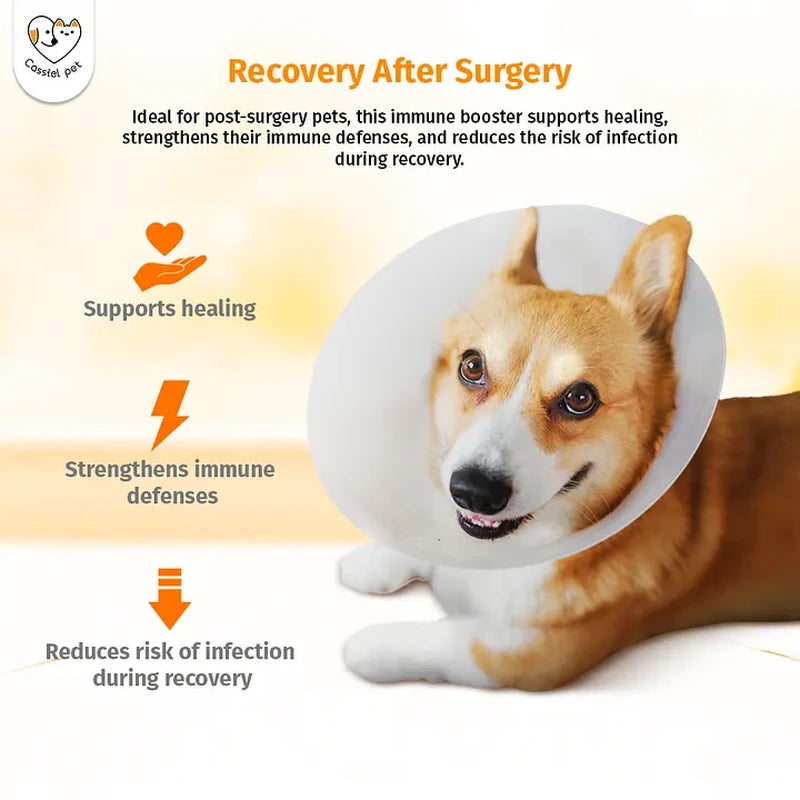 Cassiel Pet dog recovery after surgery illustration