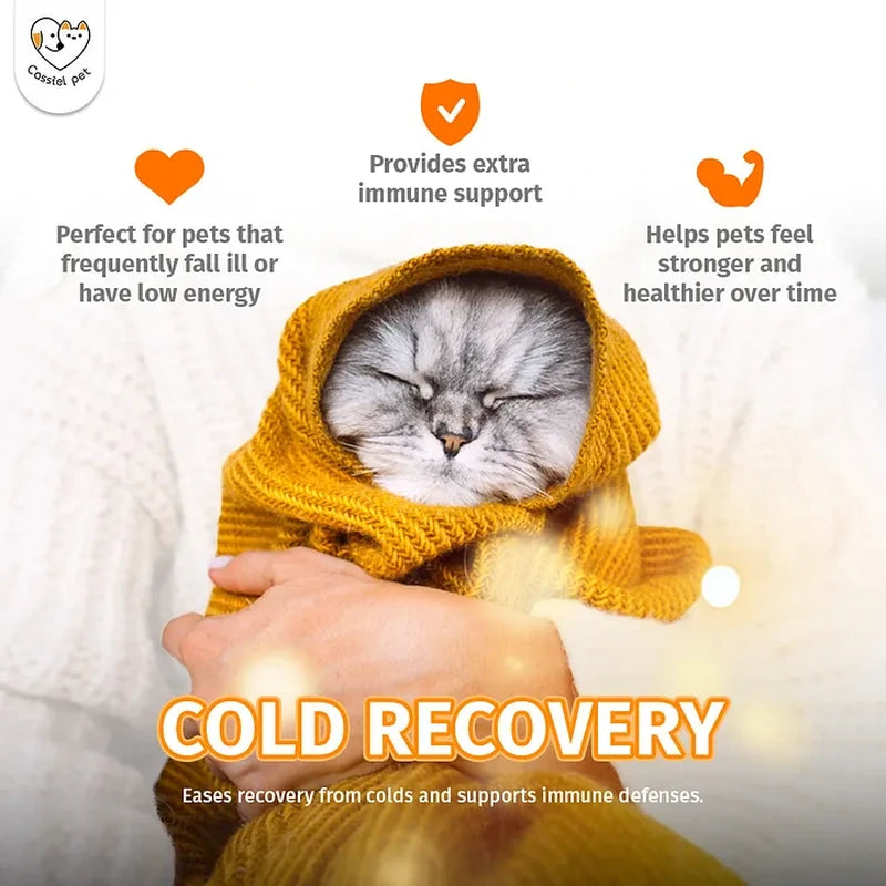 Cassiel Pet cat cold recovery and appetite support illustration
