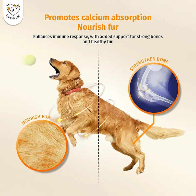 Cassiel Pet calcium absorption and bone nourishment illustration