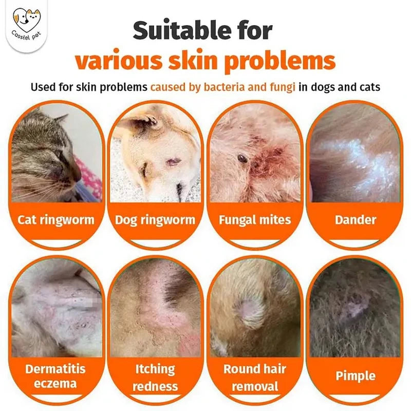 Cassiel Pet ringworm fungal mites dandruff dermatitis redness and pimples guide