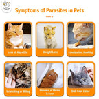 Cassiel Pet cat parasite warning signs including appetite loss weight loss vomiting scratching and worms