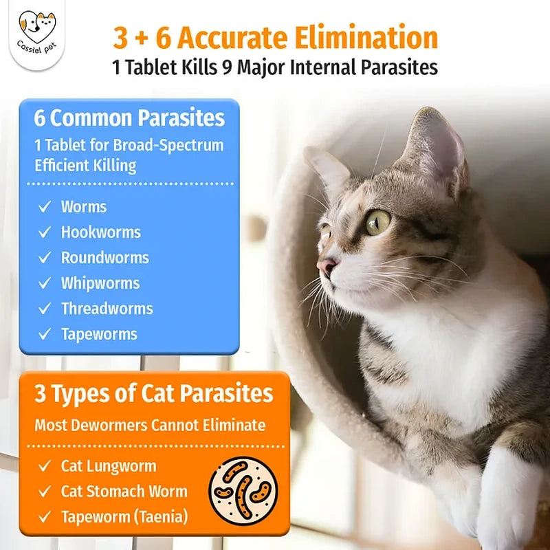 Cassiel Pet internal parasite coverage and cat parasite types