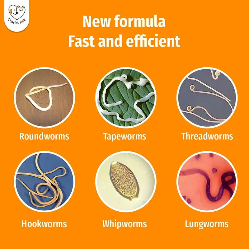 Cassiel Pet roundworm tapeworm threadworm hookworm whipworm and lungworm guide