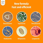 Cassiel Pet roundworm tapeworm threadworm hookworm whipworm and lungworm guide