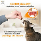 Cassiel Pet cat receiving a palatable chew