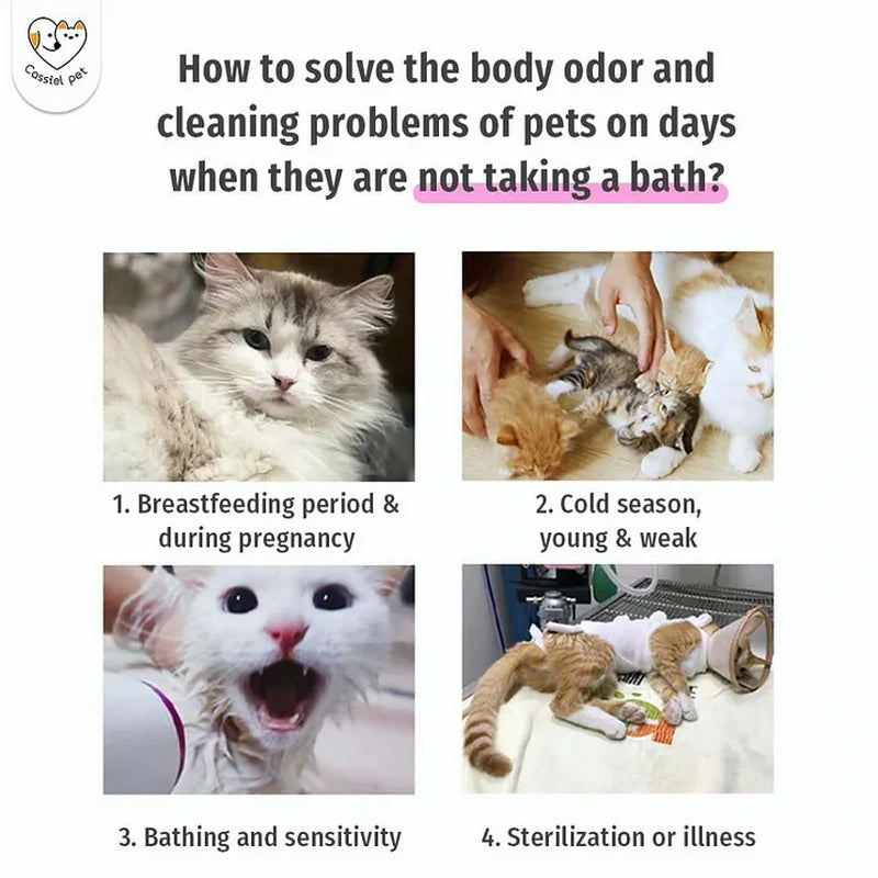 Cassiel Pet pet odor and cleaning situations between baths