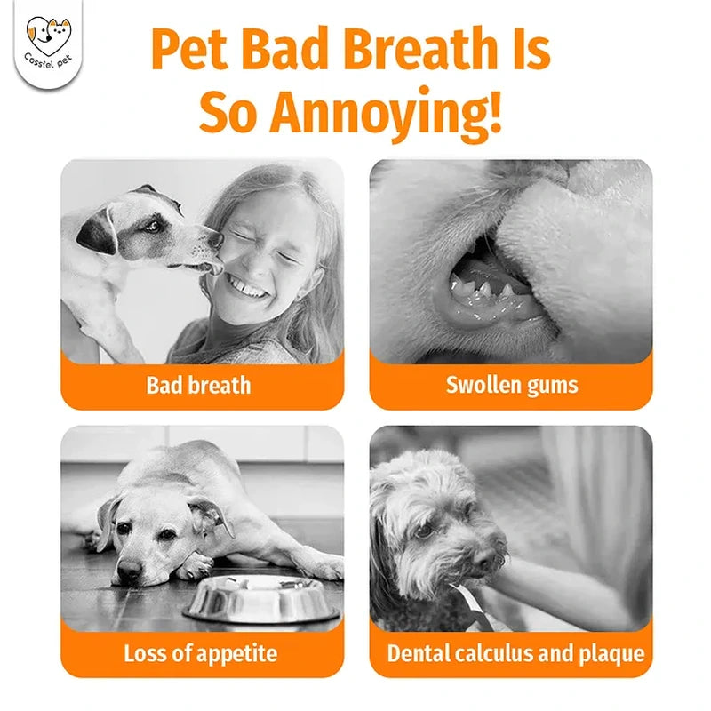 Cassiel Pet bad breath swollen gums appetite loss plaque and tartar signs