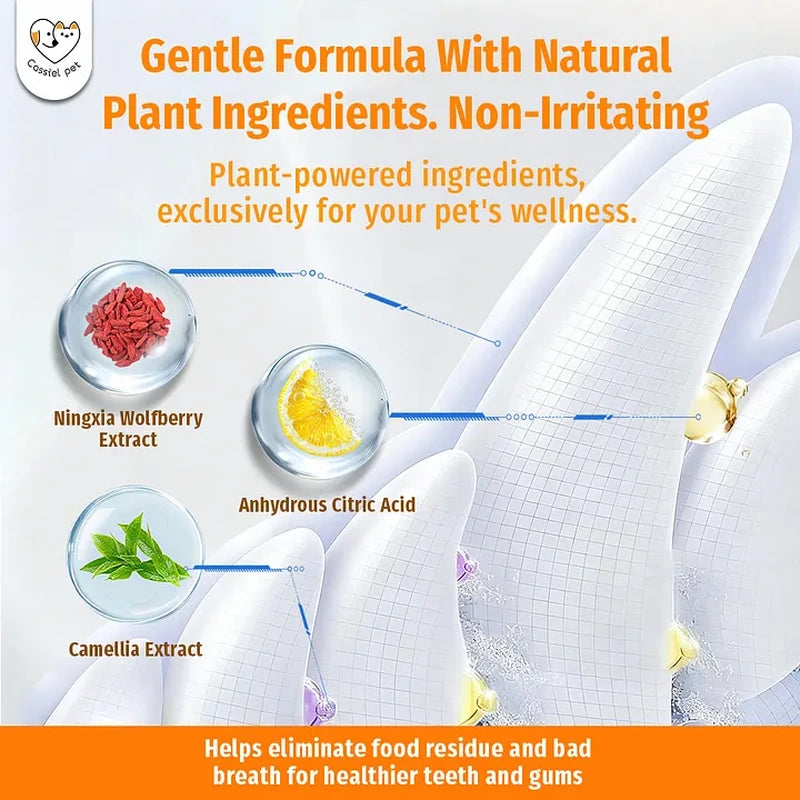 Cassiel Pet natural plant ingredients for teeth and gums
