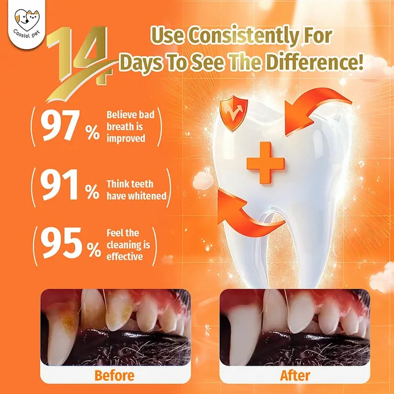 Cassiel Pet 14-day before-and-after dental cleaning results