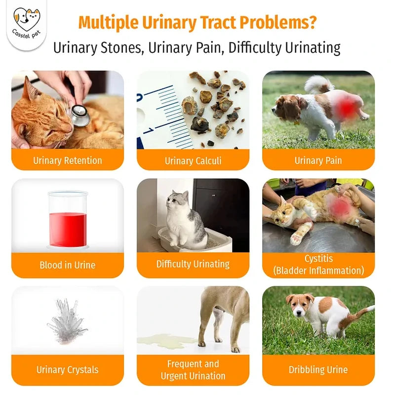 Cassiel Pet urinary stones pain blood crystals and difficulty urinating signs