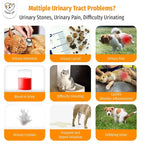 Cassiel Pet urinary stones pain blood crystals and difficulty urinating signs